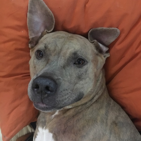 Hey it’s Cypress! - Picture 1 of 3